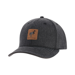 Ford Bronco Buck Leather Patch Slideback Hat