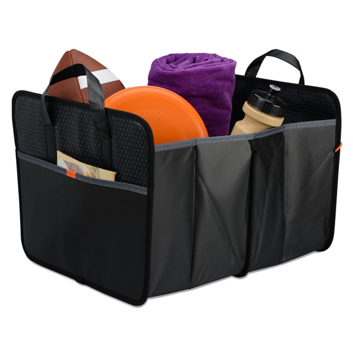 Ford Dealer Trunk Organizer